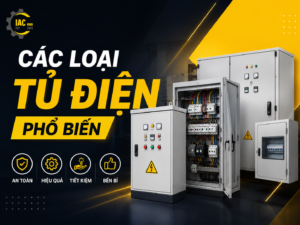 avt cac loai tu dien